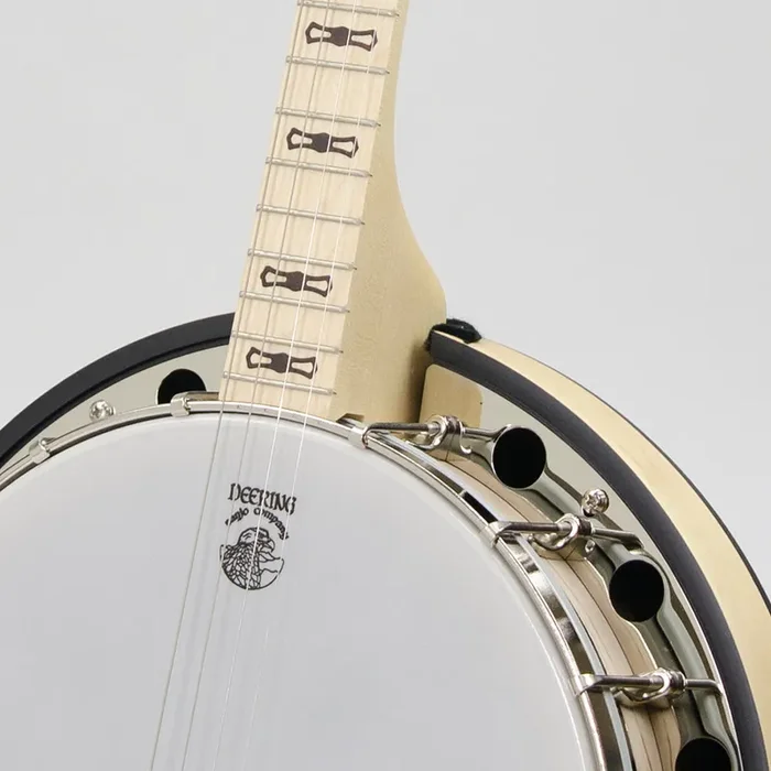 Goodtime Special 19-Fret Tenor Banjo