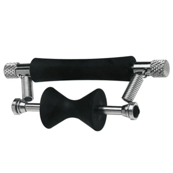 Greg Bennet Glider GLX1 Capo