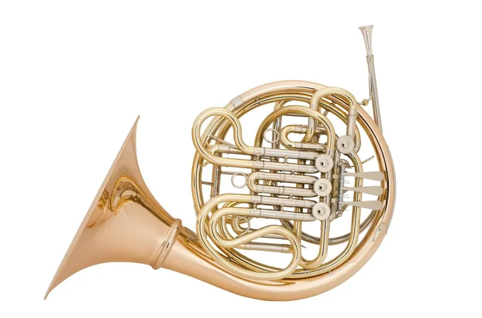 Holton Professional Double French Horn Model H281
