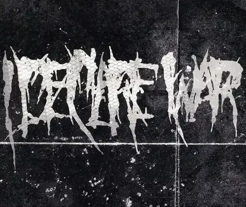 I Declare War I Declare War