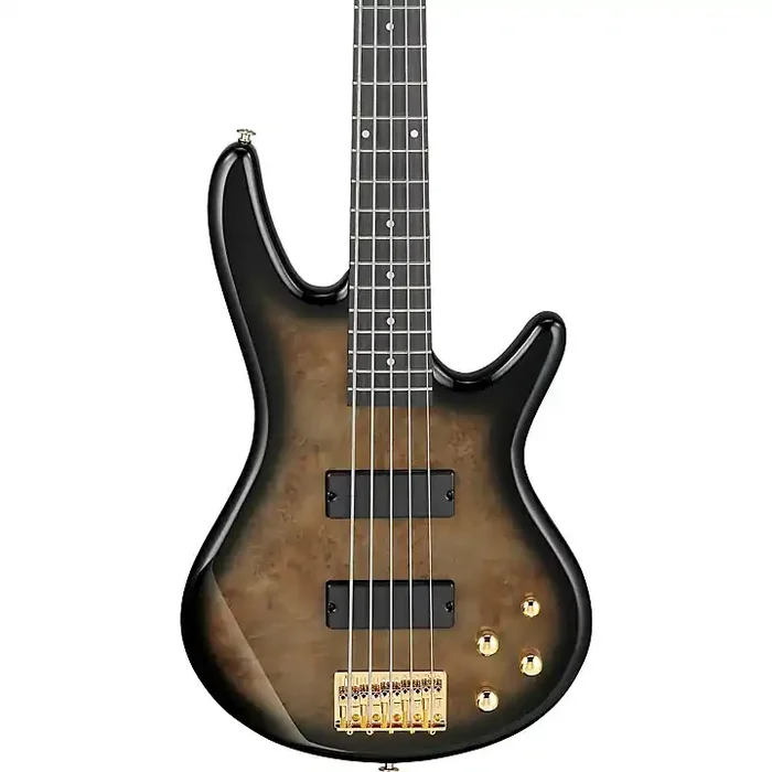 Ibanez GSR205PC 5-String Electric Bass Guitar Transparent Pale Black Burst Guitar Center