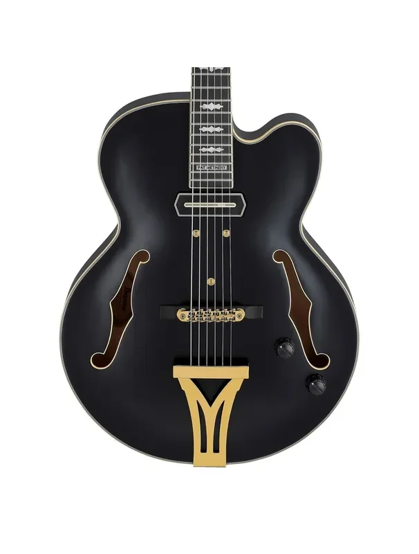 Ibanez PM3CBKL Pat Metheny Signature Hollow Body Guitar – Black