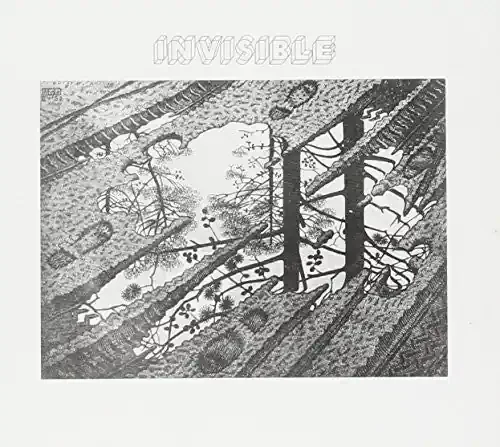 Invisible Invisible – COMPACT DISCS