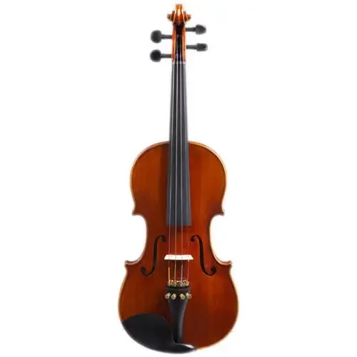 Jacob Horst 1/2 Violin Outfit – HV12