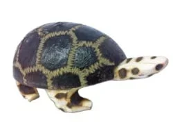 Jamtown R0023 Baby Turtle Wingo Shaker