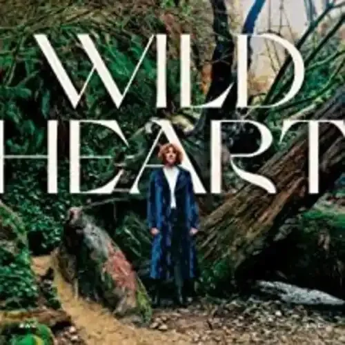 Kim Walker-Smith Wild Heart – COMPACT DISCS