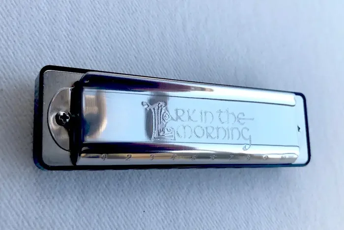 Lark in the Morning Blues Harmonica in C