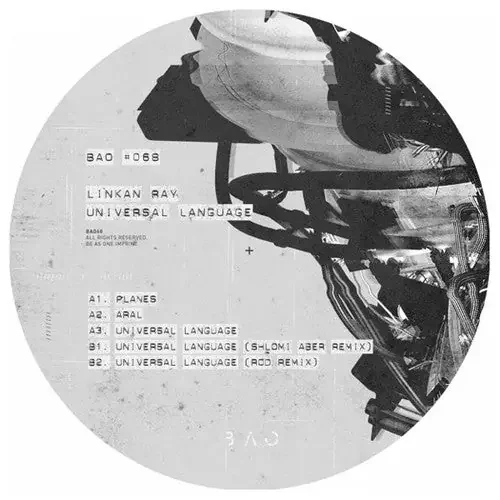 Linkan Ray Universal Language – 12-INCH SINGLE