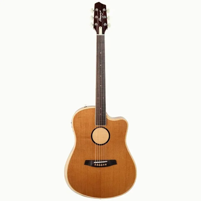 LR Baggs AEG-1 High-performance Acoustic Electric Guitar – Torrefied Sitka Spruce (Special Order)