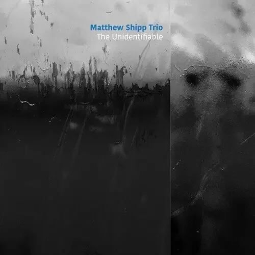Matthew Shipp The Unidentifiable – COMPACT DISCS