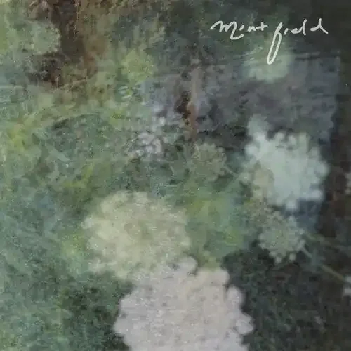 Mint Field Sentimiento Mundial – COMPACT DISCS