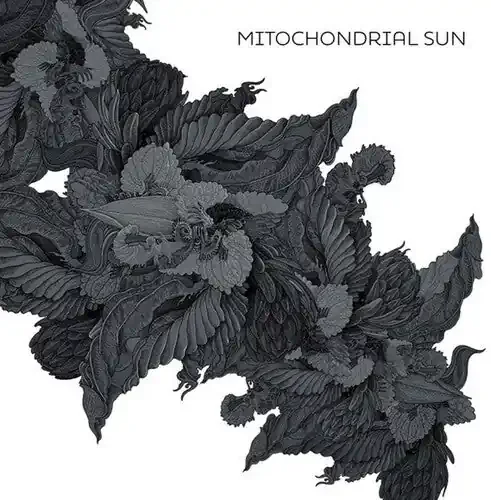 Mitochondrial Sun Mitochondrial Sun – VINYL LP