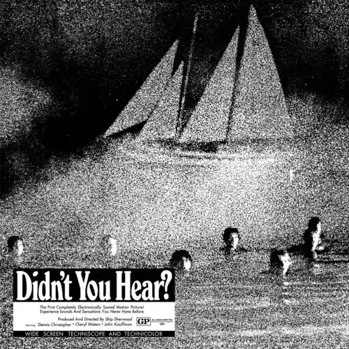 Mort Garson Didn‘t You Hear? – VINYL LP