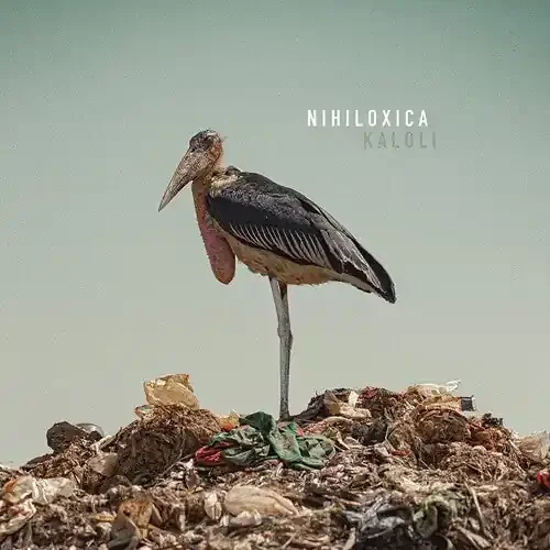 Nihiloxica Kaloli – COMPACT DISCS