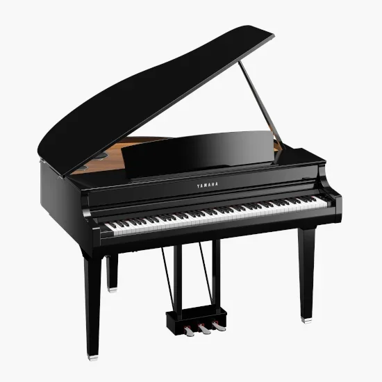Olimpus Music | CSP 295 GP Polished Ebony