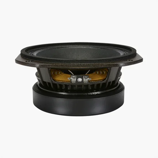 Olimpus Music | Delta Pro 8B