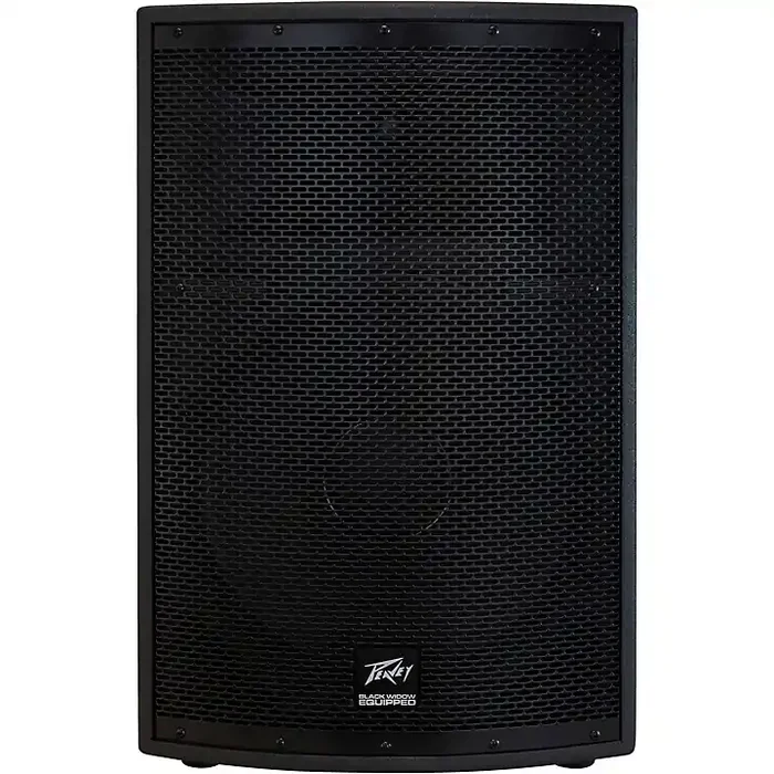 Peavey SP 2 2-Way 15″ Speaker Guitar Center