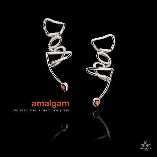 Perelman, Ivo / Shipp, Matthew Amalgam – COMPACT DISCS