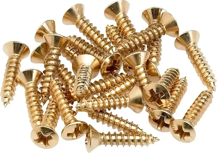 Pickguard – Control Plate Mounting Screws (24)