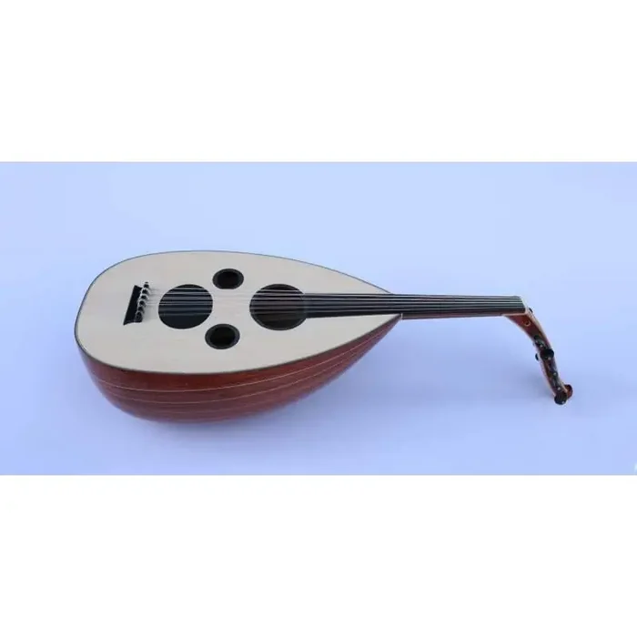 Professional Arabic Oud A5