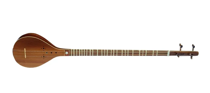 Professional Setar By Mansur MS-304