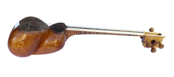 Professional Tar By Dariosh DT-304