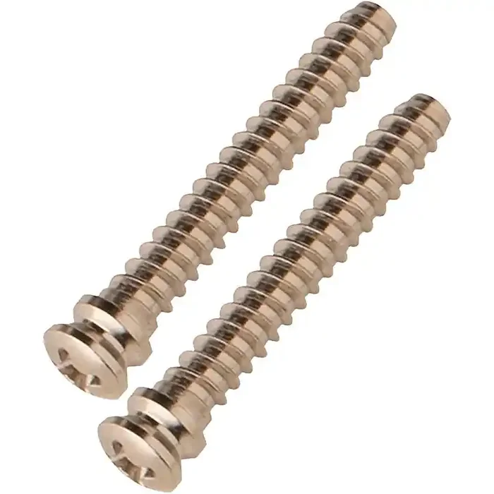 PRS Fiore Fulcrum Screws Guitar Center