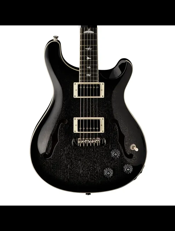 PRS SE Hollowbody Standard Piezo – Dog Hair Smokeburst