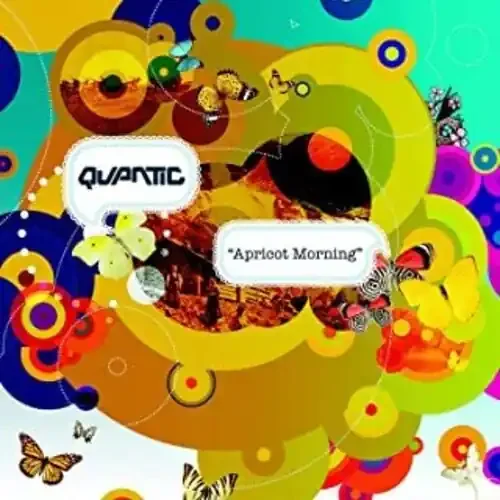 Quantic Apricot Morning – VINYL LP