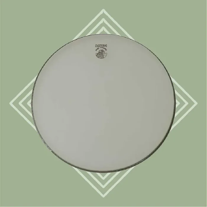 Renaissance Banjo Head