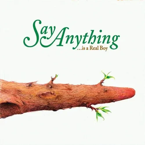 Say Anything …is A Real Boy – VINYL LP