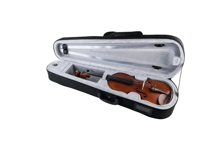 Scherl & Roth Violin Case Model SR1143N