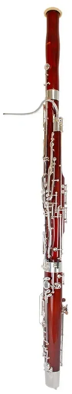 Schott Bassoon – BSN220