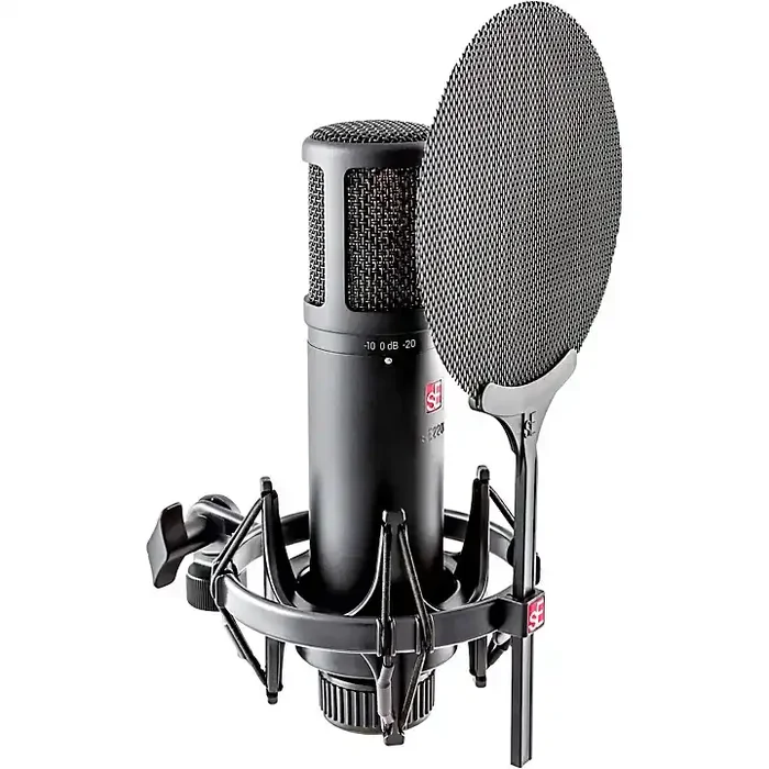 sE Electronics sE2200 Large-Diaphragm Condenser Microphone Guitar Center