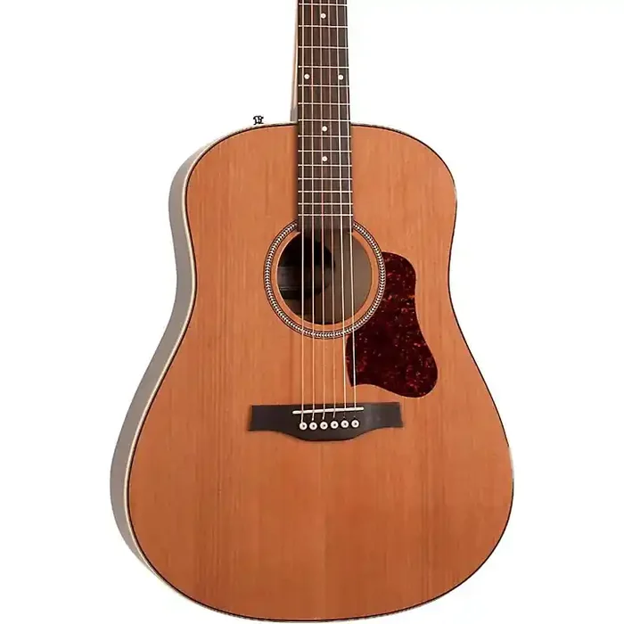 Seagull Coastline Momentum HG Acoustic-Electric Guitar Natural Guitar Center