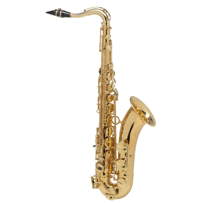 Selmer 54AXOS Professional Tenor Saxophone