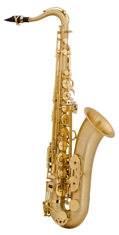 Selmer Paris Bb Professional Tenor Saxophone Model 54JM