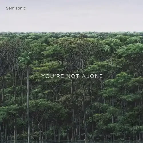 Semisonic You‘re Not Alone – COMPACT DISCS