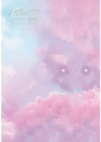 Seo Eun Kwang Foresrt Entrance (Light Version) (Incl. 80pg Booklet, Holder,Postcard, Photocard, Bookmark, Lyric Paper + Letter Set) – COMPACT DISCS