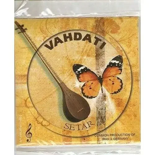 Setar Strings
