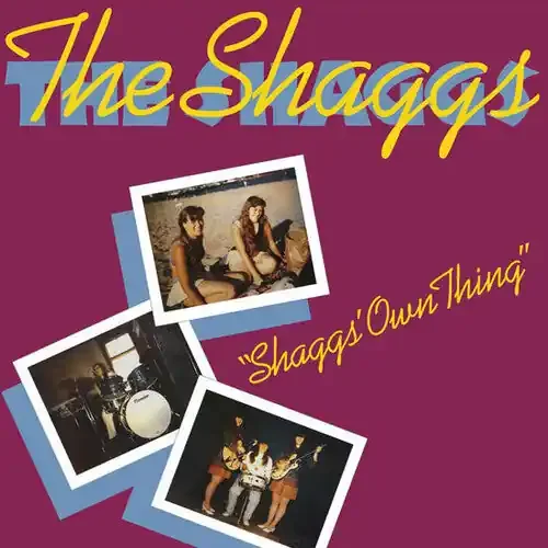 Shaggs Shaggs‘ Own Thing