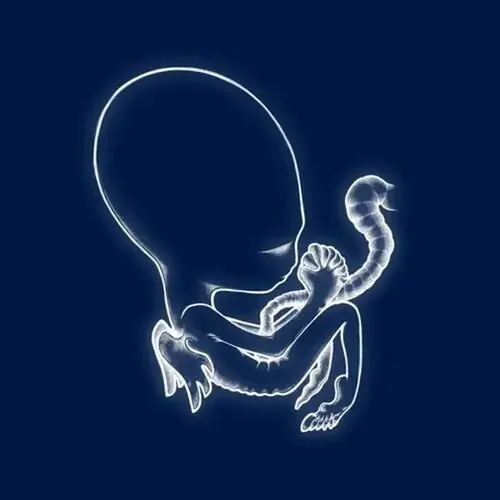 Sigur Ros Agaetis Byrjun – VINYL LP