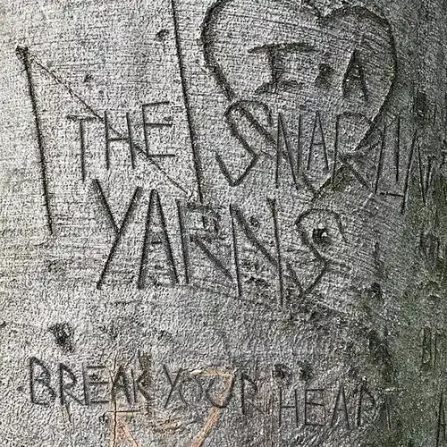 Snarlin‘ Yarns Break Your Heart – VINYL LP