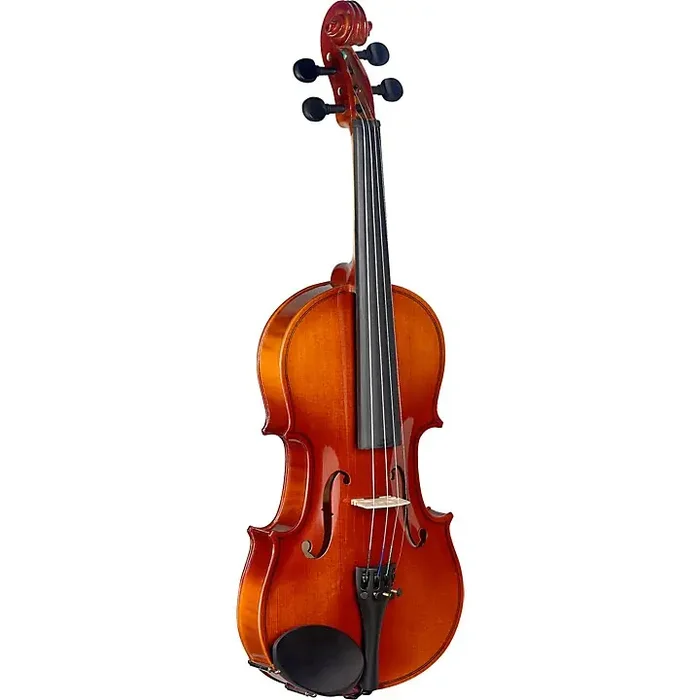 Stagg VN-L Series Student Violin Outfit 3/4 Guitar Center