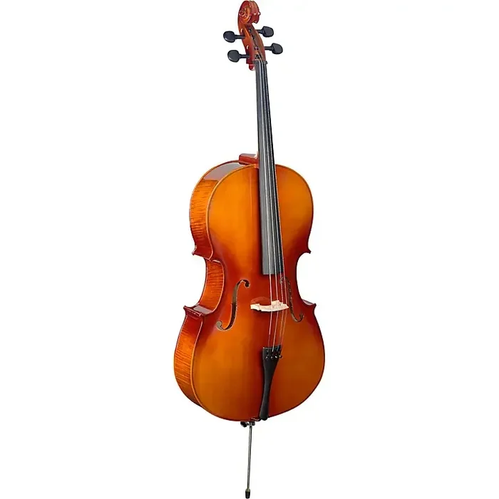 Stagg VNC-L Series Student Cello Outfit 3/4 Guitar Center