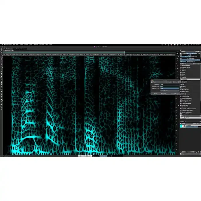 Steinberg DAC SpectraLayers Pro 12 Audio Plug-in Guitar Center