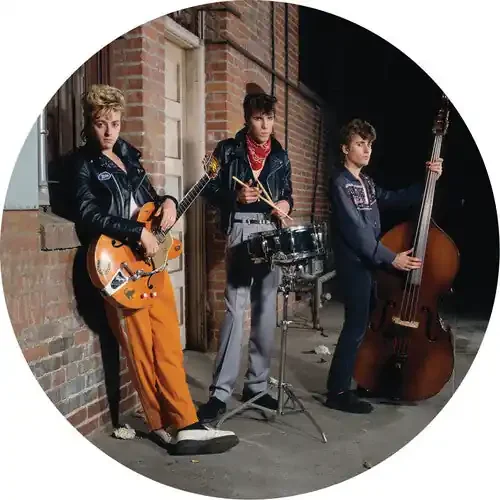 Stray Cats Live At The Roxy 1981