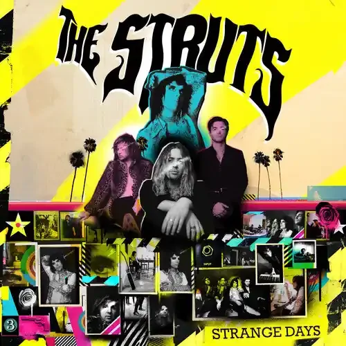 Struts Strange Days – COMPACT DISCS