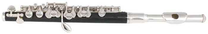 Tanaka Piccolo Package – PIC32