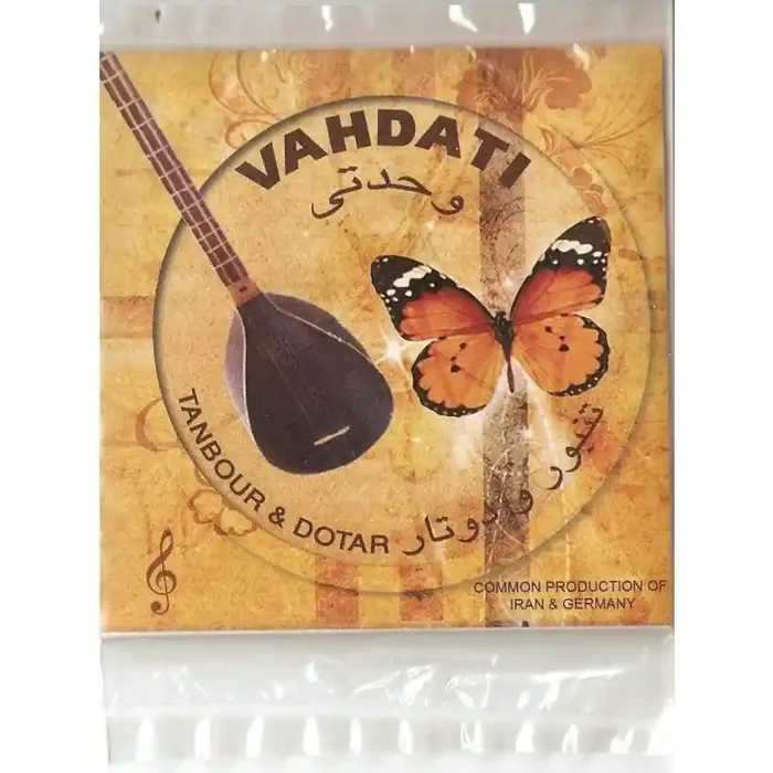Tanboor Dutar Strings